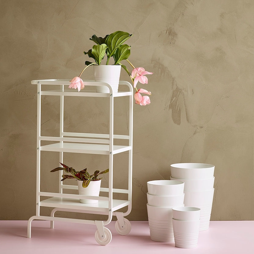White Pot Porcelain - www.Greenie.ae Buy online Best and Healthy Plants and quality products guarantee in Dubai Plants Shop in Dubai Abu Dhabi all over UAE Plants near me Fresh Plants in Dubai where to buy plants in UAE - Greenie.ae