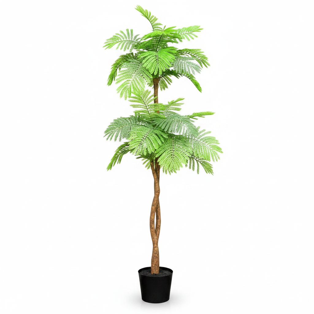 Flame Tree, Delonix Regia, Royal Poinciana