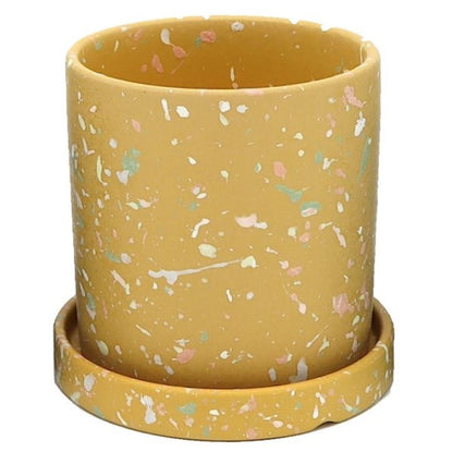 Ceramic Pot with Contrast Dots - www.Greenie.ae Buy online Best and Healthy Plants and quality products guarantee in Dubai Plants Shop in Dubai Abu Dhabi all over UAE Plants near me Fresh Plants in Dubai where to buy plants in UAE - Greenie.ae