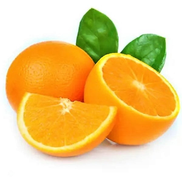 Citrus orange, Abu Surra, Orange Tree - www.Greenie.ae Buy online Best and Healthy Plants and quality products guarantee in Dubai Plants Shop in Dubai Abu Dhabi all over UAE Plants near me Fresh Plants in Dubai where to buy plants in UAE - Greenie.ae