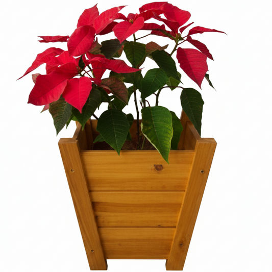 Handmade Wakhla Planter Keeper