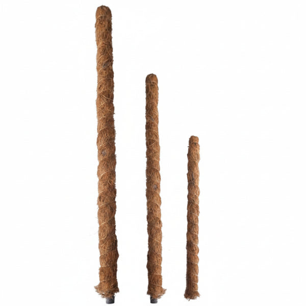 Plant Support Stick (moss/coir)