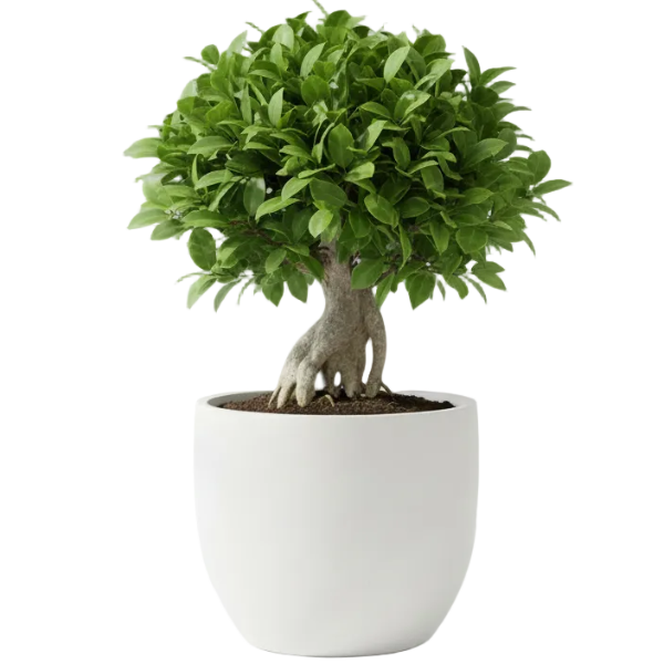 Fiber High Quality GRP Durable Pot