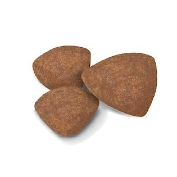 Dry Food For Dog, Mini Puppy , 2 - 10 months old