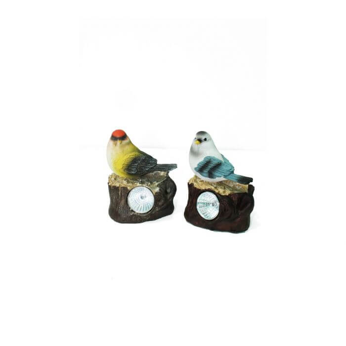 Garden Decor SLR 1857 - www.Greenie.ae Buy online Best and Healthy Plants and quality products guarantee in Dubai Plants Shop in Dubai Abu Dhabi all over UAE Plants near me Fresh Plants in Dubai where to buy plants in UAE - Greenie.ae