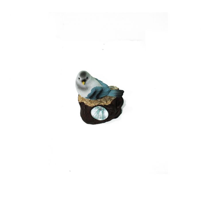 Garden Decor SLR 1857 - www.Greenie.ae Buy online Best and Healthy Plants and quality products guarantee in Dubai Plants Shop in Dubai Abu Dhabi all over UAE Plants near me Fresh Plants in Dubai where to buy plants in UAE - Greenie.ae