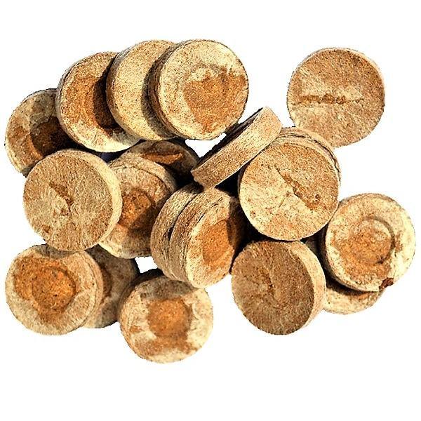 Peat Pellets or Peat Seeds Starters - www.Greenie.ae Buy online Best and Healthy Plants and quality products guarantee in Dubai Plants Shop in Dubai Abu Dhabi all over UAE Plants near me Fresh Plants in Dubai where to buy plants in UAE - Greenie.ae