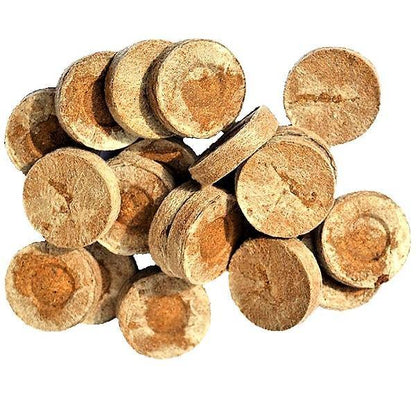 Peat Pellets or Peat Seeds Starters - www.Greenie.ae Buy online Best and Healthy Plants and quality products guarantee in Dubai Plants Shop in Dubai Abu Dhabi all over UAE Plants near me Fresh Plants in Dubai where to buy plants in UAE - Greenie.ae