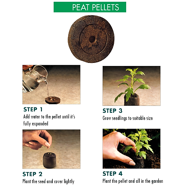 Peat Pellets or Peat Seeds Starters - www.Greenie.ae Buy online Best and Healthy Plants and quality products guarantee in Dubai Plants Shop in Dubai Abu Dhabi all over UAE Plants near me Fresh Plants in Dubai where to buy plants in UAE - Greenie.ae
