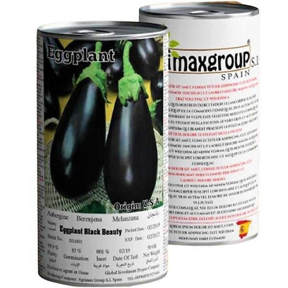 Eggplant Black Beauty Seeds Tin - www.Greenie.ae Buy online Best and Healthy Plants and quality products guarantee in Dubai Plants Shop in Dubai Abu Dhabi all over UAE Plants near me Fresh Plants in Dubai where to buy plants in UAE - Greenie.ae