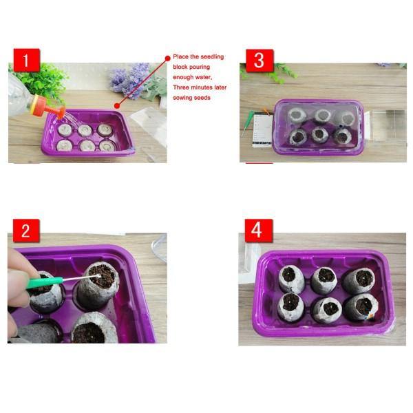 Peat Pellets or Peat Seeds Starters - www.Greenie.ae Buy online Best and Healthy Plants and quality products guarantee in Dubai Plants Shop in Dubai Abu Dhabi all over UAE Plants near me Fresh Plants in Dubai where to buy plants in UAE - Greenie.ae