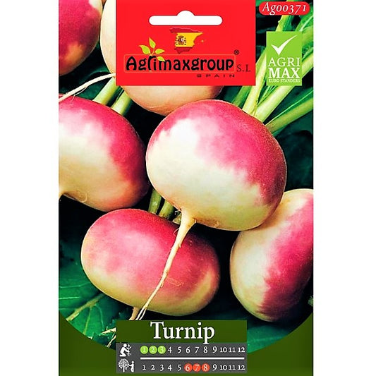 Turnip Seeds - www.Greenie.ae Buy online Best and Healthy Plants and quality products guarantee in Dubai Plants Shop in Dubai Abu Dhabi all over UAE Plants near me Fresh Plants in Dubai where to buy plants in UAE - Greenie.ae