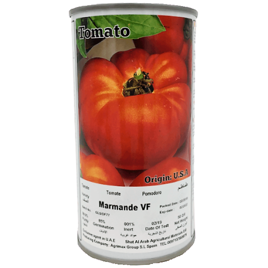 Tomato Marmande VF Seeds Tin - www.Greenie.ae Buy online Best and Healthy Plants and quality products guarantee in Dubai Plants Shop in Dubai Abu Dhabi all over UAE Plants near me Fresh Plants in Dubai where to buy plants in UAE - Greenie.ae