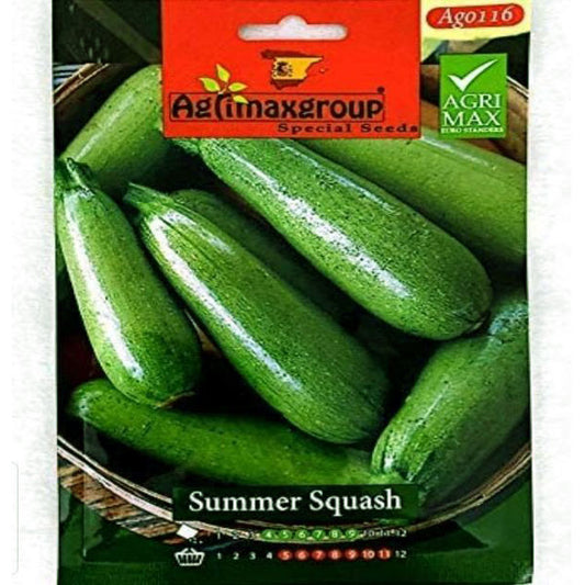 Summer Squash Seeds - www.Greenie.ae Buy online Best and Healthy Plants and quality products guarantee in Dubai Plants Shop in Dubai Abu Dhabi all over UAE Plants near me Fresh Plants in Dubai where to buy plants in UAE - Greenie.ae