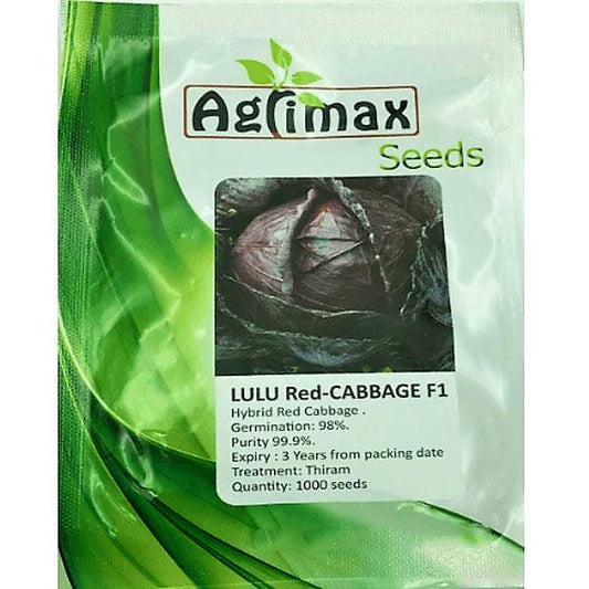 LULU Red Cabbage F1 Premium Quality Seeds - www.Greenie.ae Buy online Best and Healthy Plants and quality products guarantee in Dubai Plants Shop in Dubai Abu Dhabi all over UAE Plants near me Fresh Plants in Dubai where to buy plants in UAE - Greenie.ae
