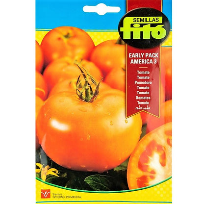 Tomato Early Pack America 3 Seeds - www.Greenie.ae Buy online Best and Healthy Plants and quality products guarantee in Dubai Plants Shop in Dubai Abu Dhabi all over UAE Plants near me Fresh Plants in Dubai where to buy plants in UAE - Greenie.ae