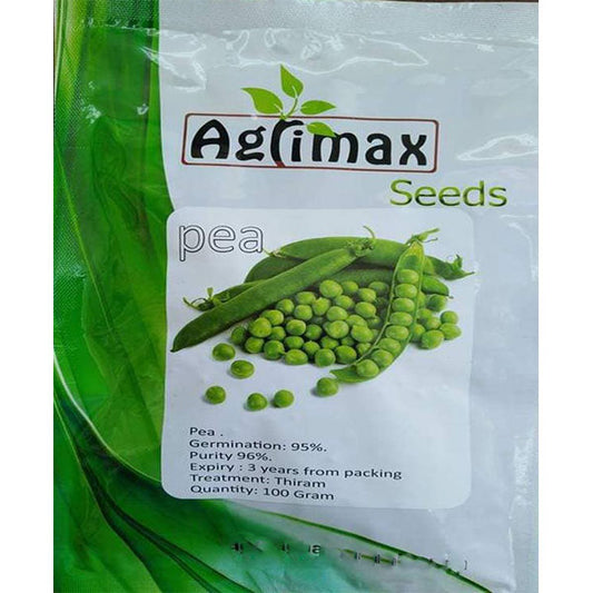 Pea Premium Quality Seeds - www.Greenie.ae Buy online Best and Healthy Plants and quality products guarantee in Dubai Plants Shop in Dubai Abu Dhabi all over UAE Plants near me Fresh Plants in Dubai where to buy plants in UAE - Greenie.ae
