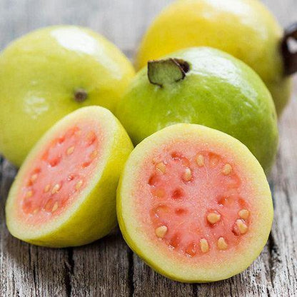 Guava Tree, Psidium Guajava - www.Greenie.ae Buy online Best and Healthy Plants and quality products guarantee in Dubai Plants Shop in Dubai Abu Dhabi all over UAE Plants near me Fresh Plants in Dubai where to buy plants in UAE - Greenie.ae