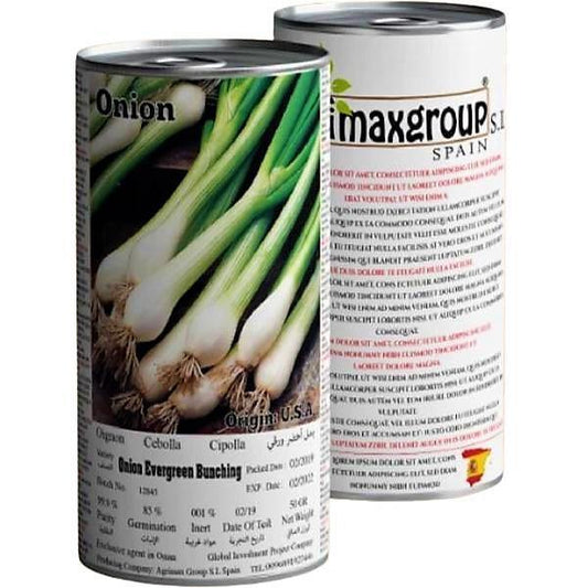 Evergreen Bunching Onions Seeds Tin - www.Greenie.ae Buy online Best and Healthy Plants and quality products guarantee in Dubai Plants Shop in Dubai Abu Dhabi all over UAE Plants near me Fresh Plants in Dubai where to buy plants in UAE - Greenie.ae