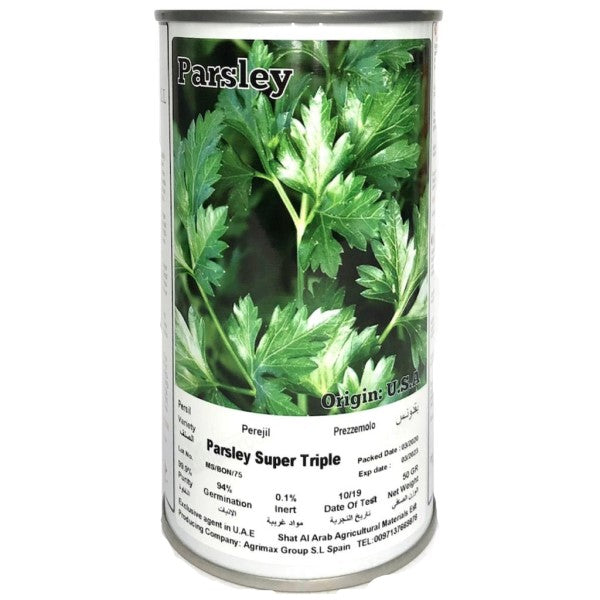 Super Triple Curly Parsley Seeds Tin - www.Greenie.ae Buy online Best and Healthy Plants and quality products guarantee in Dubai Plants Shop in Dubai Abu Dhabi all over UAE Plants near me Fresh Plants in Dubai where to buy plants in UAE - Greenie.ae