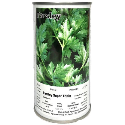 Super Triple Curly Parsley Seeds Tin - www.Greenie.ae Buy online Best and Healthy Plants and quality products guarantee in Dubai Plants Shop in Dubai Abu Dhabi all over UAE Plants near me Fresh Plants in Dubai where to buy plants in UAE - Greenie.ae