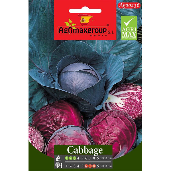 Red Cabbage Seeds - www.Greenie.ae Buy online Best and Healthy Plants and quality products guarantee in Dubai Plants Shop in Dubai Abu Dhabi all over UAE Plants near me Fresh Plants in Dubai where to buy plants in UAE - Greenie.ae