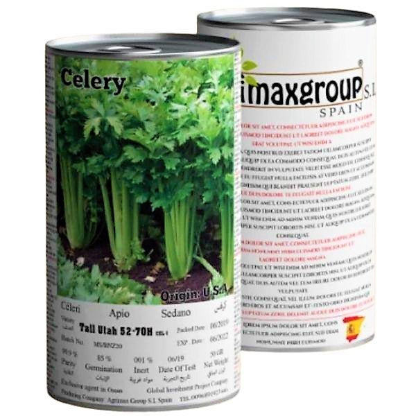 Utah 52, 70 Celery Seeds Tin - www.Greenie.ae Buy online Best and Healthy Plants and quality products guarantee in Dubai Plants Shop in Dubai Abu Dhabi all over UAE Plants near me Fresh Plants in Dubai where to buy plants in UAE - Greenie.ae
