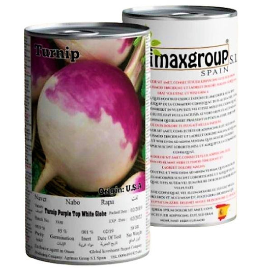 Turnip Purple Top White Globe Seeds Tin - www.Greenie.ae Buy online Best and Healthy Plants and quality products guarantee in Dubai Plants Shop in Dubai Abu Dhabi all over UAE Plants near me Fresh Plants in Dubai where to buy plants in UAE - Greenie.ae