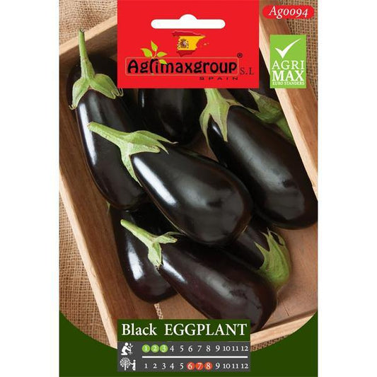 Black Eggplant Seeds - www.Greenie.ae Buy online Best and Healthy Plants and quality products guarantee in Dubai Plants Shop in Dubai Abu Dhabi all over UAE Plants near me Fresh Plants in Dubai where to buy plants in UAE - Greenie.ae