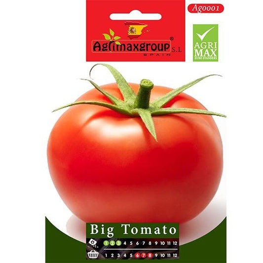 Big Tomato Seeds - www.Greenie.ae Buy online Best and Healthy Plants and quality products guarantee in Dubai Plants Shop in Dubai Abu Dhabi all over UAE Plants near me Fresh Plants in Dubai where to buy plants in UAE - Greenie.ae