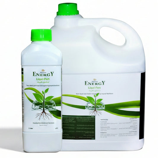 Desert Energy Ironganese Liquid Fertilizer - www.Greenie.ae Buy online Best and Healthy Plants and quality products guarantee in Dubai Plants Shop in Dubai Abu Dhabi all over UAE Plants near me Fresh Plants in Dubai where to buy plants in UAE - Greenie.ae