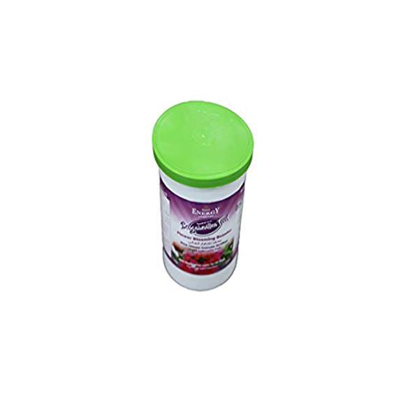 Bougainvillea Feed – Fertilizer - www.Greenie.ae Buy online Best and Healthy Plants and quality products guarantee in Dubai Plants Shop in Dubai Abu Dhabi all over UAE Plants near me Fresh Plants in Dubai where to buy plants in UAE - Greenie.ae