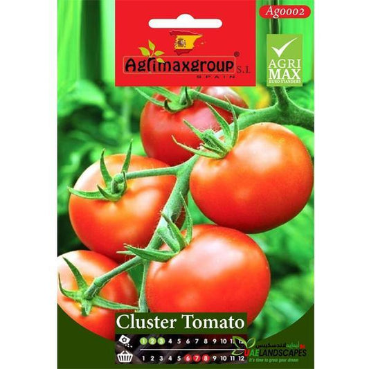 Cluster Tomato Seeds - www.Greenie.ae Buy online Best and Healthy Plants and quality products guarantee in Dubai Plants Shop in Dubai Abu Dhabi all over UAE Plants near me Fresh Plants in Dubai where to buy plants in UAE - Greenie.ae