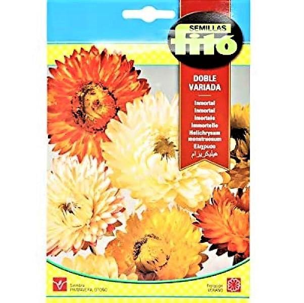 Helichrysum Monstruosum Double Mixed Seeds - www.Greenie.ae Buy online Best and Healthy Plants and quality products guarantee in Dubai Plants Shop in Dubai Abu Dhabi all over UAE Plants near me Fresh Plants in Dubai where to buy plants in UAE - Greenie.ae
