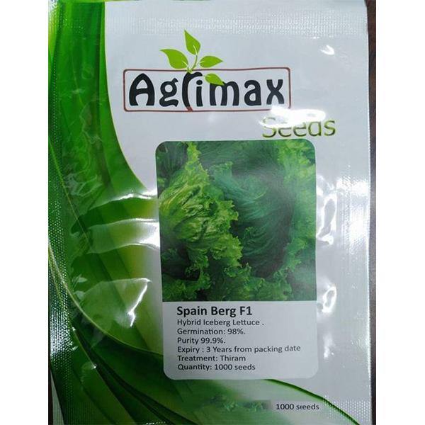 Lettuce Iceberg F1 Premium Seeds - www.Greenie.ae Buy online Best and Healthy Plants and quality products guarantee in Dubai Plants Shop in Dubai Abu Dhabi all over UAE Plants near me Fresh Plants in Dubai where to buy plants in UAE - Greenie.ae