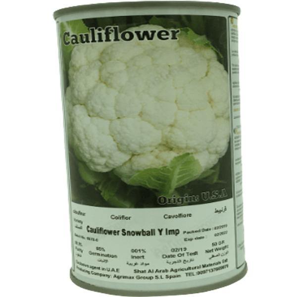 Cauliflower Snowball Seeds Tin - www.Greenie.ae Buy online Best and Healthy Plants and quality products guarantee in Dubai Plants Shop in Dubai Abu Dhabi all over UAE Plants near me Fresh Plants in Dubai where to buy plants in UAE - Greenie.ae