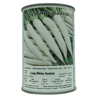Long white radish Seeds Tin - www.Greenie.ae Buy online Best and Healthy Plants and quality products guarantee in Dubai Plants Shop in Dubai Abu Dhabi all over UAE Plants near me Fresh Plants in Dubai where to buy plants in UAE - Greenie.ae