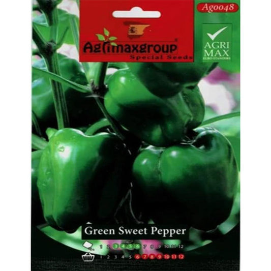 Green Sweet Pepper Agrimax seeds - www.Greenie.ae Buy online Best and Healthy Plants and quality products guarantee in Dubai Plants Shop in Dubai Abu Dhabi all over UAE Plants near me Fresh Plants in Dubai where to buy plants in UAE - Greenie.ae