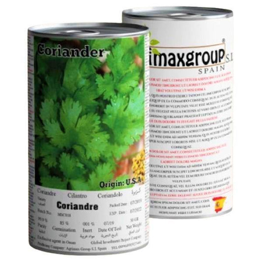 Coriander Seeds Tin - www.Greenie.ae Buy online Best and Healthy Plants and quality products guarantee in Dubai Plants Shop in Dubai Abu Dhabi all over UAE Plants near me Fresh Plants in Dubai where to buy plants in UAE - Greenie.ae