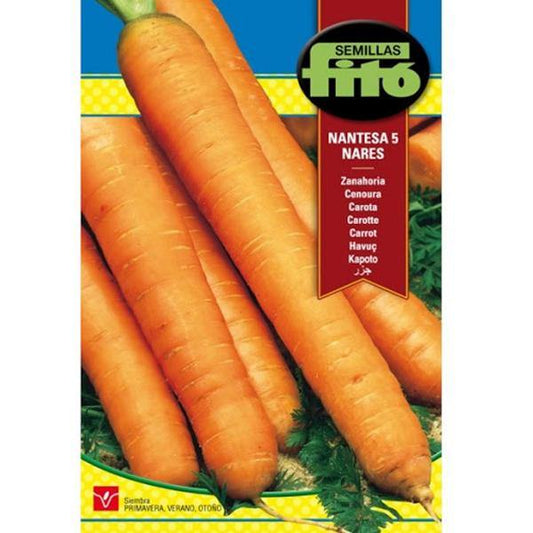 Carrot Nantesa 5 Nares Seeds - www.Greenie.ae Buy online Best and Healthy Plants and quality products guarantee in Dubai Plants Shop in Dubai Abu Dhabi all over UAE Plants near me Fresh Plants in Dubai where to buy plants in UAE - Greenie.ae