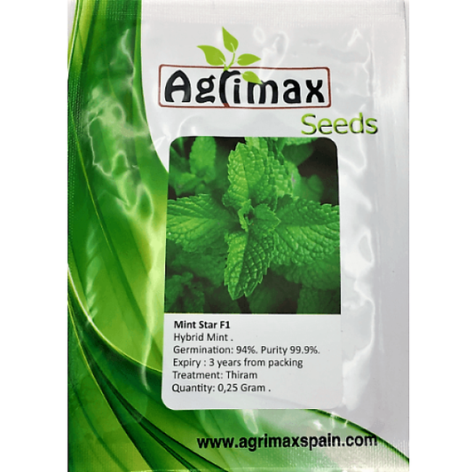 Mint F1 Premium Quality Seeds - www.Greenie.ae Buy online Best and Healthy Plants and quality products guarantee in Dubai Plants Shop in Dubai Abu Dhabi all over UAE Plants near me Fresh Plants in Dubai where to buy plants in UAE - Greenie.ae