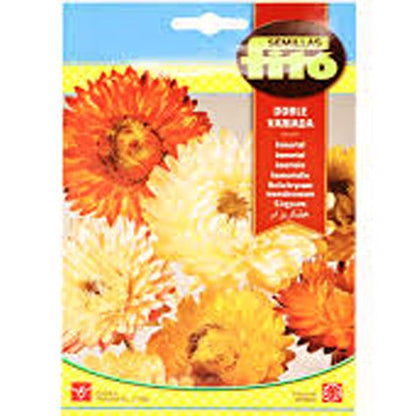 Helichrysum Monstruosum Double Mixed Seeds - www.Greenie.ae Buy online Best and Healthy Plants and quality products guarantee in Dubai Plants Shop in Dubai Abu Dhabi all over UAE Plants near me Fresh Plants in Dubai where to buy plants in UAE - Greenie.ae