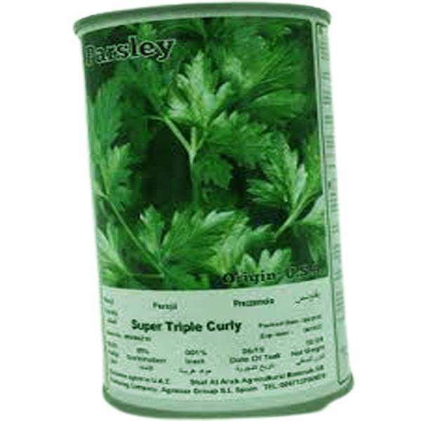 Super Triple Curly Parsley Seeds Tin - www.Greenie.ae Buy online Best and Healthy Plants and quality products guarantee in Dubai Plants Shop in Dubai Abu Dhabi all over UAE Plants near me Fresh Plants in Dubai where to buy plants in UAE - Greenie.ae