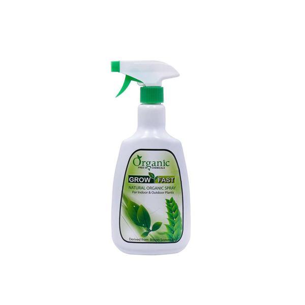 Grow Fast Natural Organic Spray - www.Greenie.ae Buy online Best and Healthy Plants and quality products guarantee in Dubai Plants Shop in Dubai Abu Dhabi all over UAE Plants near me Fresh Plants in Dubai where to buy plants in UAE - Greenie.ae