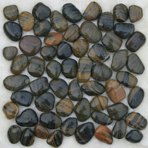 Tiger pebbles - www.Greenie.ae Buy online Best and Healthy Plants and quality products guarantee in Dubai Plants Shop in Dubai Abu Dhabi all over UAE Plants near me Fresh Plants in Dubai where to buy plants in UAE - Greenie.ae