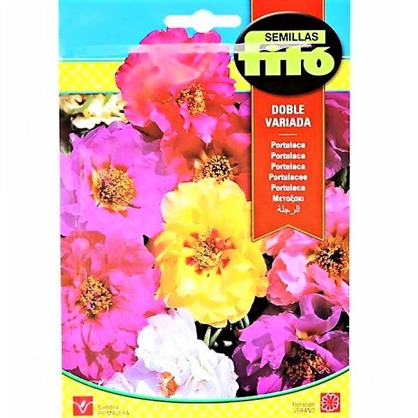 Portulaca Double Mix Seeds - www.Greenie.ae Buy online Best and Healthy Plants and quality products guarantee in Dubai Plants Shop in Dubai Abu Dhabi all over UAE Plants near me Fresh Plants in Dubai where to buy plants in UAE - Greenie.ae