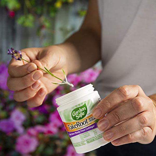 Garden Safe TakeRoot Rooting Hormone - www.Greenie.ae Buy online Best and Healthy Plants and quality products guarantee in Dubai Plants Shop in Dubai Abu Dhabi all over UAE Plants near me Fresh Plants in Dubai where to buy plants in UAE - Greenie.ae