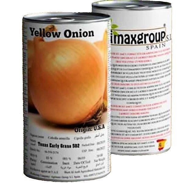 Yellow Onion Seeds Tin - www.Greenie.ae Buy online Best and Healthy Plants and quality products guarantee in Dubai Plants Shop in Dubai Abu Dhabi all over UAE Plants near me Fresh Plants in Dubai where to buy plants in UAE - Greenie.ae