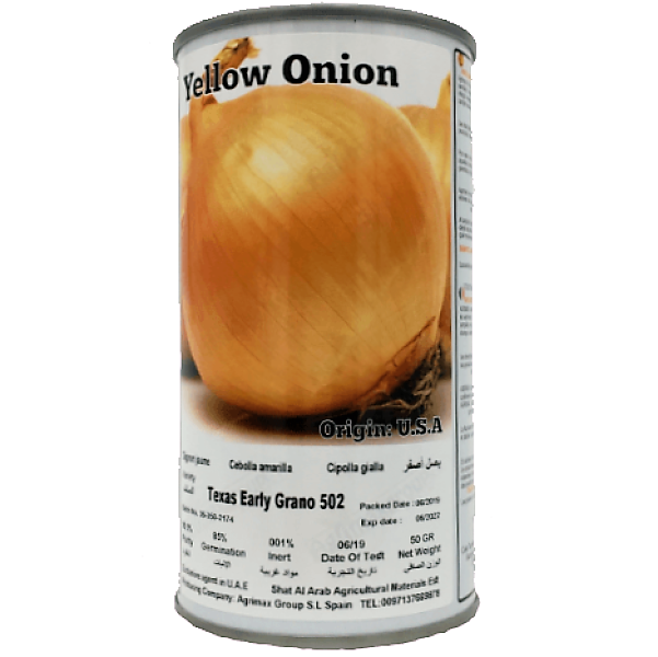 Yellow Onion Seeds Tin - www.Greenie.ae Buy online Best and Healthy Plants and quality products guarantee in Dubai Plants Shop in Dubai Abu Dhabi all over UAE Plants near me Fresh Plants in Dubai where to buy plants in UAE - Greenie.ae