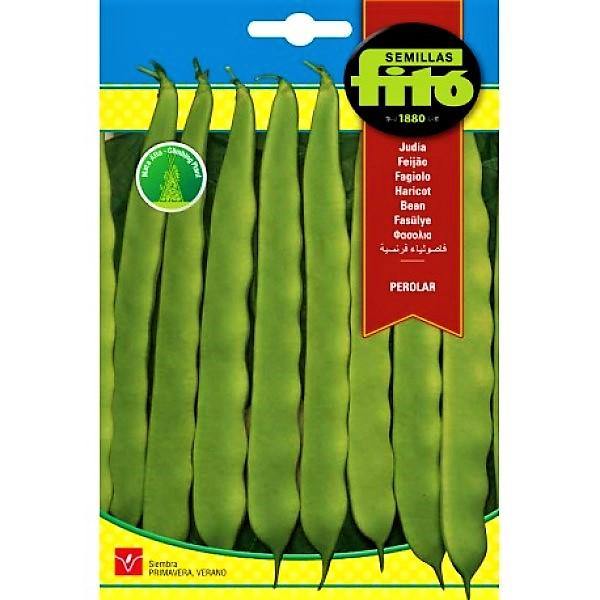 Bean Perolar Seeds - www.Greenie.ae Buy online Best and Healthy Plants and quality products guarantee in Dubai Plants Shop in Dubai Abu Dhabi all over UAE Plants near me Fresh Plants in Dubai where to buy plants in UAE - Greenie.ae